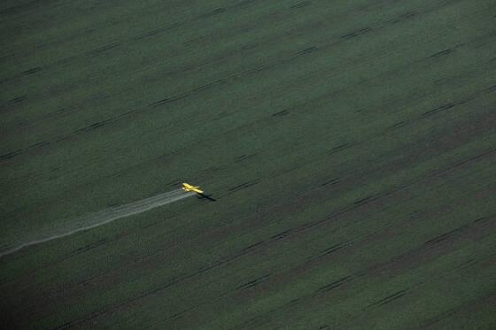 Avião pulveriza agrotóxicos em plantação de soja