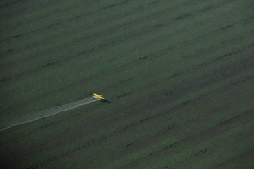 Avio pulveriza agrotxicos em plantao de soja