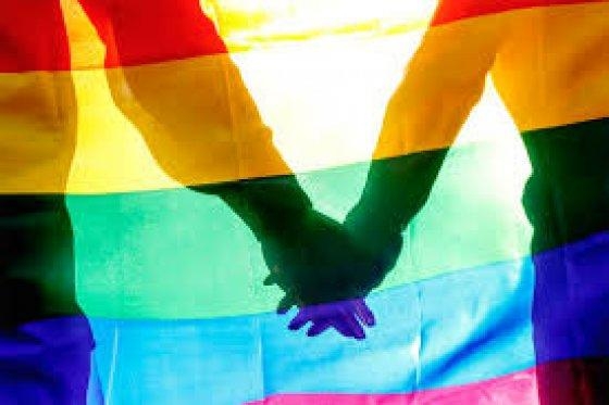 Deturpaes e mensagens de dio envenenam o trmite para criao do Conselho LGBTQIA+