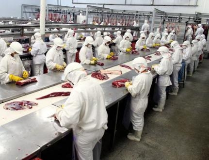 MT caminha para o terceiro ano seguido de retrao na indstria