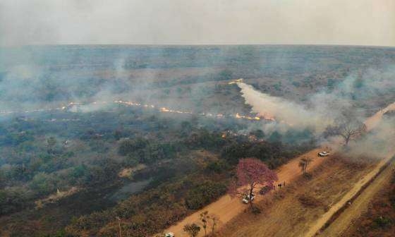 Fogo nas margens da Transpantaneira, principal estrada do Pantanal