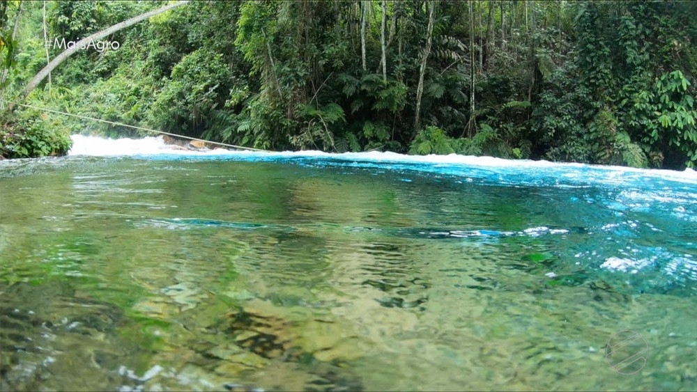 Fazenda possui cerca de 20 nascentes  Foto: Reproduo