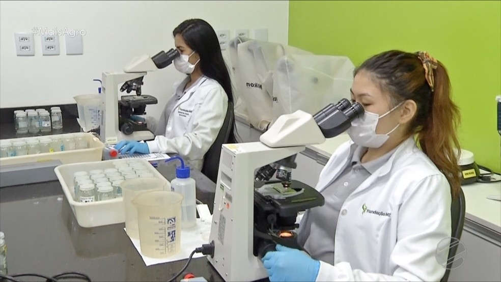 Pesquisas estimulam produtividade na agricultura em MT  Foto: TV Centro Amrica