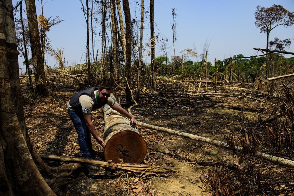MT é tem maior número de alertas de desmatamento da Amazônia, diz pesquisa — Foto: Marcos Vergueiro/Secom-MT