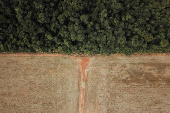 Desmatamento perto de borda entre Amazônia e Cerrado, em Nova Xavantina