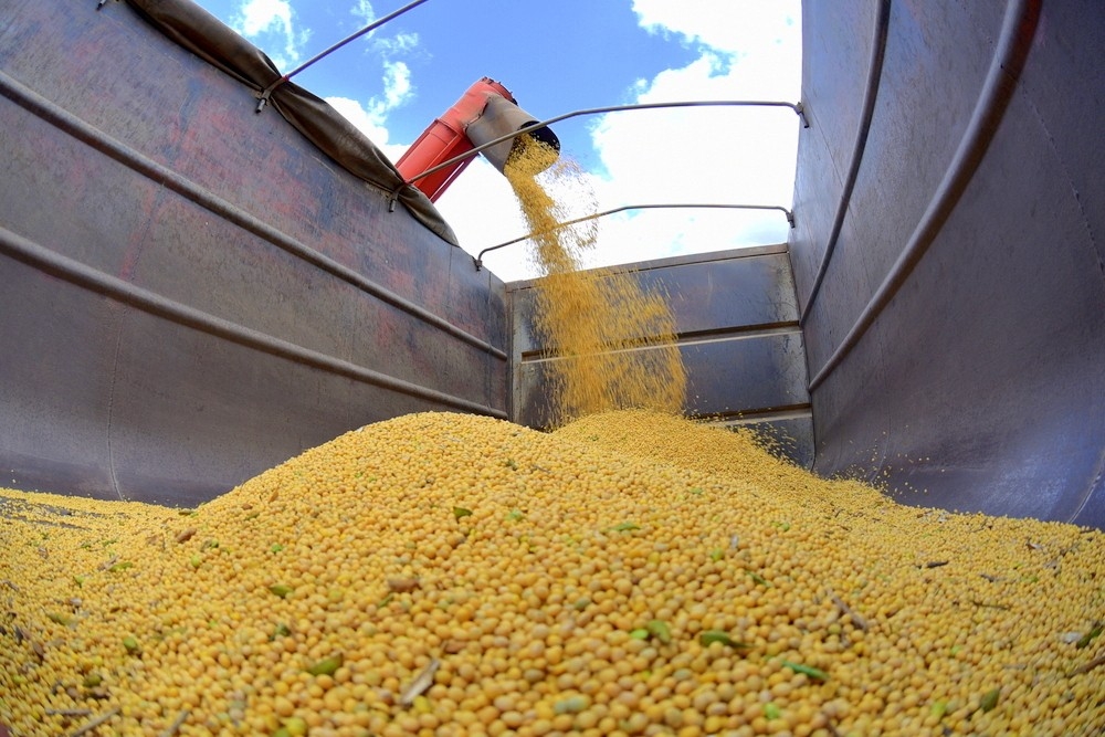 Produção agrícola aumentou, enquanto a pecuária teve queda — Foto: Governo de Roraima