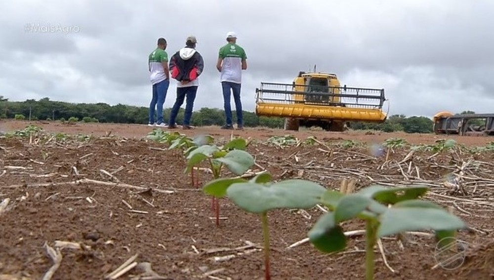 Jovens acompanham aula de treinamento no Senar  Foto: TV Centro Amrica