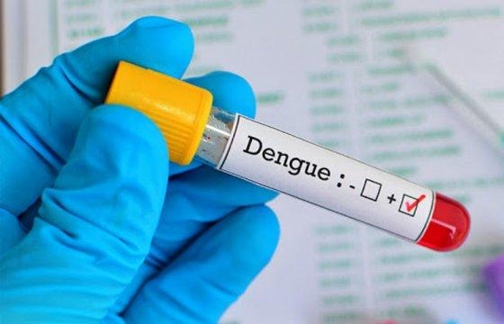 Casos de dengue sobem mais de 148% em MT