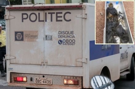 A Politec recolheu os restos mortais (no detalhe) para ser examinado no IML