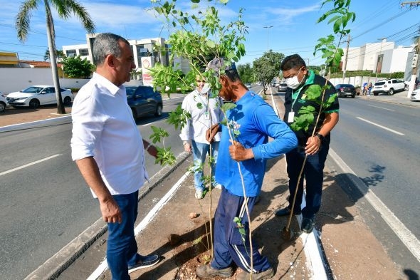 Miguel Sutil comea a receber mudas de plantas do cerrado  Foto: Davi Valle - Secom