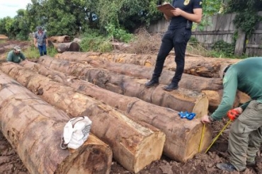 Flagrante foi feito durante fiscalizao da PF e do Ibama em Juna
