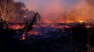 Emergncia por queimadas ambientais