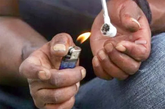 Em relao ao tipo de droga circulante, no geral, 3,25% afirmaram que o crack  a droga predominante