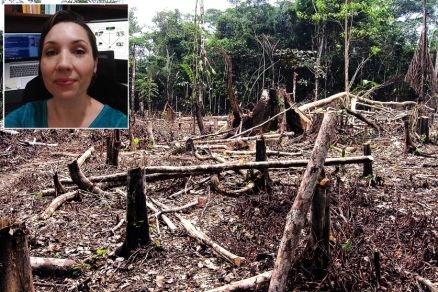 A biloga Gisele Winck (detalhe)  a autora principal do artigo, que cita o desmatamento como uma das causas  LIZ BRUNETTO DA REDAO Mato Grosso  um dos sete estados brasileiros com grande risco de surgimento de surtos de doenas de origem animal.