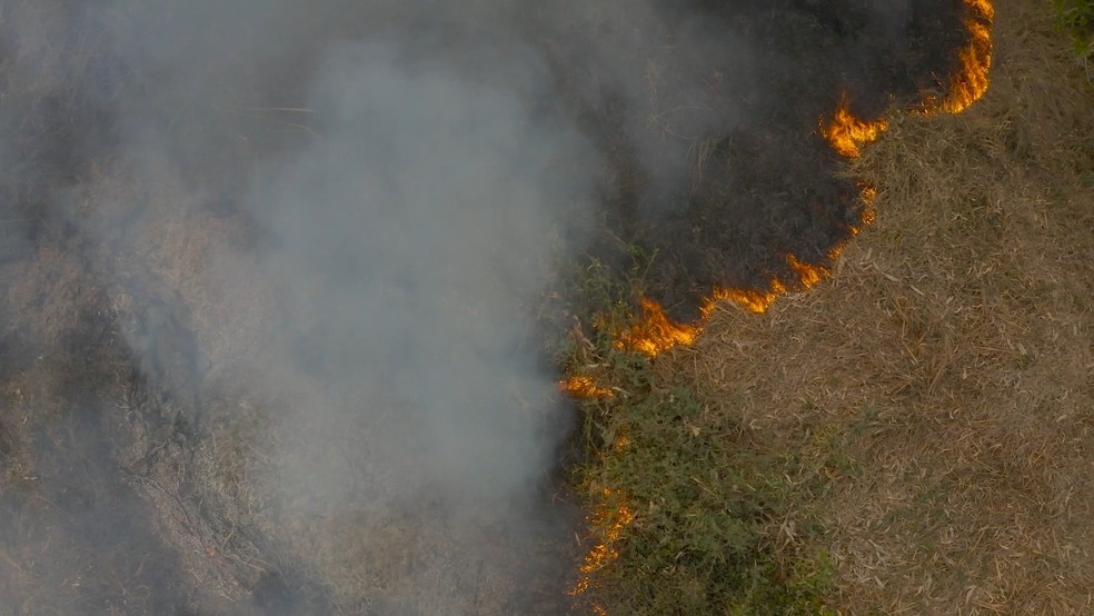 Valor da multa aplicada por atear fogo em unidades de conservao pode chegar a R$ 15 mil em Mato Grosso.