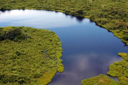 Vista rea de curso d'gua na Amaznia mato-grossense