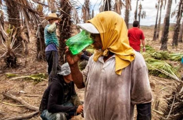 No caso especfico de MT,  mais comum em propriedades rurais, sempre por meio da terceirizao dos servios