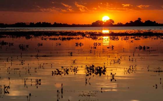 Com 150 mil quilmetros quadrados, o Pantanal ocupa rea equivalente a 1,8% do territrio nacional,