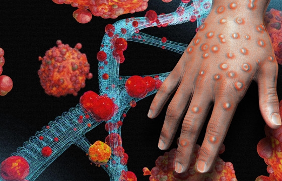 Do total de notifica��es, a maioria ocorreu na capital mato-grossense (69)