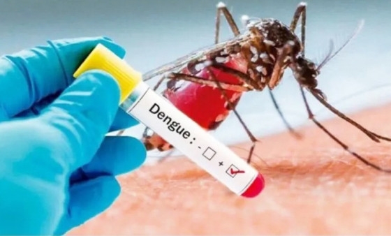 Somente as notificaes de dengue saltaram de 15.423, em 2021, para 31.145 casos, at o momento, em 2022