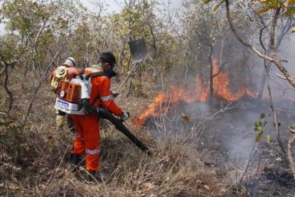 Os dados sobre queimadas e desmatamento no Brasil divulgados so provenientes do Inpe