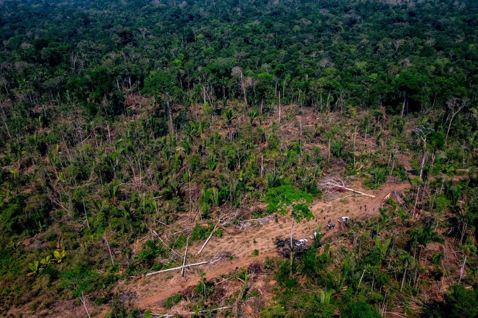 Mato Grosso, Par e Amazonas representam 73% da rea sob ameaa de derrubada em 2023, totalizando 8.582 km