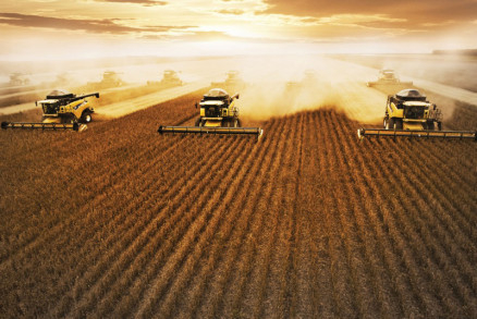 At agora, foram colhidos 13,6% da rea cultivada, o que representa 18 pontos percentuais abaixo em relao ao ano anterior.  Foto: TV Centro Amrica