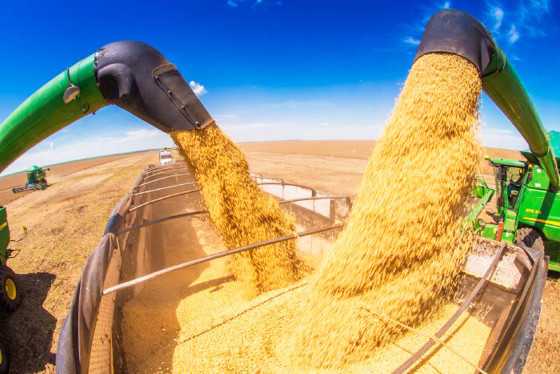 Produo de soja em Mato Grosso  Foto: Secom/MT