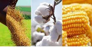 Apesar da boa movimentao registrada em junho, ainda h um dficit na comparao anual.