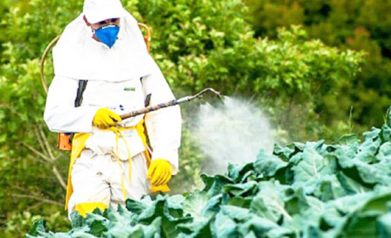 Com a proibio, a venda de agrotxicos  base de carbendazim ser considerada infrao, passvel de multa,