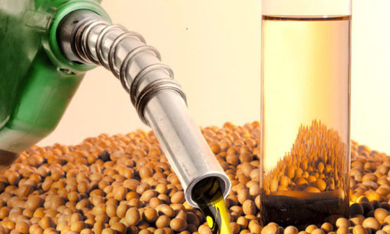 O HVO (leo Vegetal Hidrotratado)  um combustvel fundamentalmente fabricado a partir de leo em geral, como o de soja