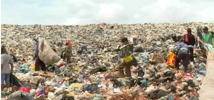 Catadores relatam preocupao com falta de pagamento  Foto: TV Centro Amrica