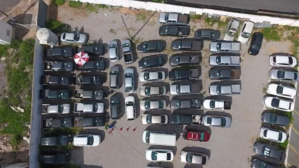 Instituto de Defesa Agropecuria de Mato Grosso (Indea-MT) realiza leilo virtual  Foto: Instituto de Defesa Agropecuria de Mato Grosso (Indea-MT)