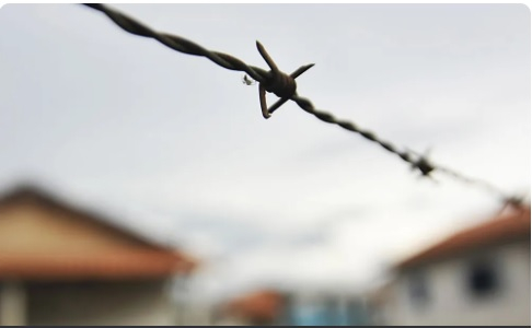 Em 2022, Mato Grosso registrou 147 conflitos e tres mortes devido as disputas de terra no campo  Foto: Agncia Brasil