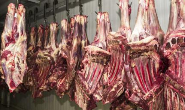 As exporta��es de carne bovina recuaram 25,59% em abril de 2023 ante a mar�o, em MT