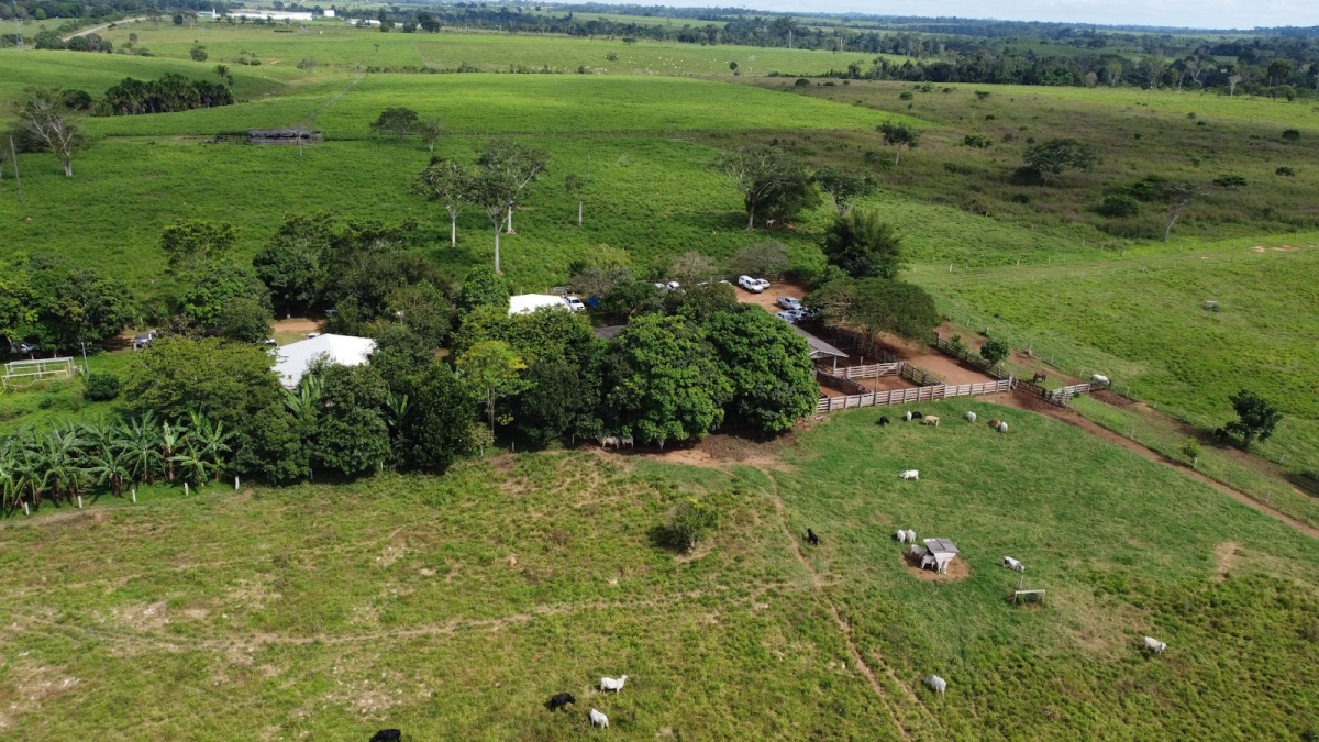 Fazenda Caruru, na regio do Portal da Amaznia,  um exemplo de pecuria sustentvel (Foto: HD Mdias Produes)
