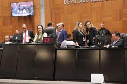 O plenrio da AL que analisa texto