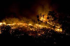 Assim como os desmatamentos no Estado, as queimadas se concentraram em propriedades particulares