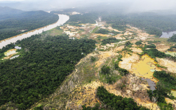 A ao penal foi ajuizada pela prtica de supresso de vegetao nativa do Cerrado sem autorizao ou licena do rgo ambiental (por duas vezes)