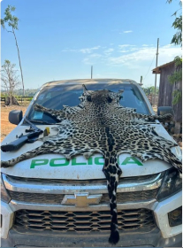 Material foi apreendido e encaminhado  Polcia Civil  Foto: Polcia Ambiental