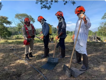 Brigadistas florestais � Foto: Corpo de Bombeiros