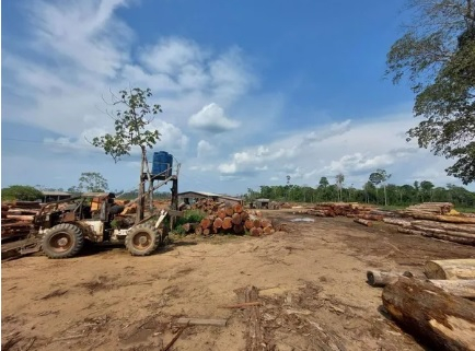 As equipes permaneceram 10 dias na regio e fiscalizaram 13 propriedade.  Foto: Polcia Civil