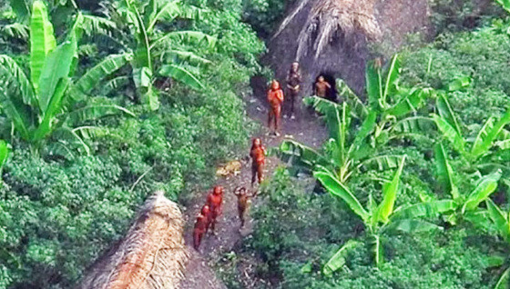 Imagem area de um grupo isolado dos povos indgenas kawahivas, no Noroeste do Estado de Mato Grosso