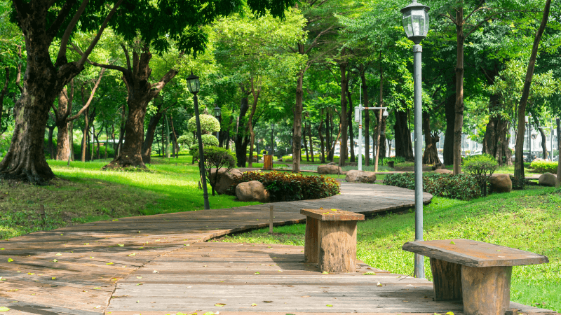 O Parque Me Bonifcia, na Avenida Miguel Sutil, est na rea que tem a 2 maior cobertura vegetal de Cuiab