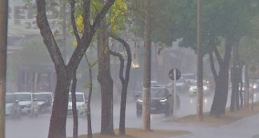 Um dos locais preferidos pelos turistas para a observao de ona-pintada, o Encontro das guas foi atingido pelo fogo