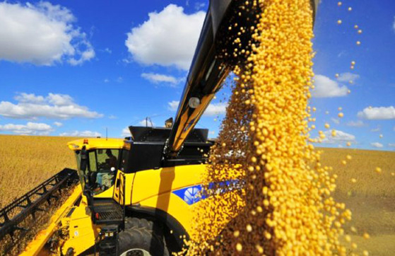 H indicativo de leve crescimento na rea total semeada, que dever ultrapassar os 78 milhes de hectares