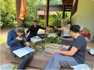 Projeto foi realizado pela primeira vez entre 2008 e 2013  Foto: Reproduo