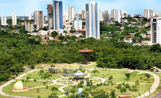 Com termmetros na casa dos 41C, as rvores tm papel fundamental na reduo do efeito ilha de calor nas reas urbanas da Capital