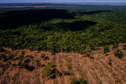 Em grande parte, o desmatamento ilegal ocorre em terras indgenas, em Mato Groso