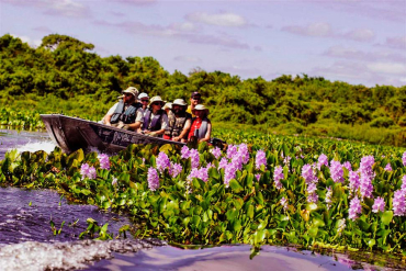 O Pantanal de MT, que teve quase um quarto de sua rea destruda pelas queimadas